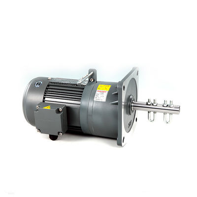 Motor del reductor de velocidad de la fase 0.1kW de la chamusquina para la industria de las aves de corral