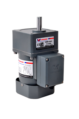 CA 6 - motor adaptado acuerdo de 250W 220V para la banda transportadora